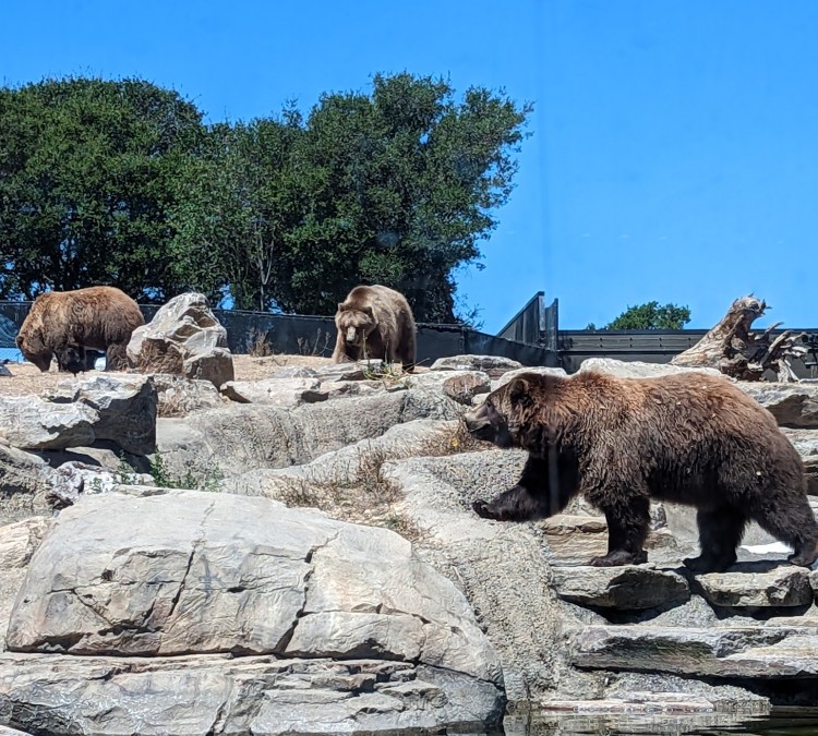 california-trail-at-oakland-zoo-photo
